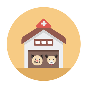 CHĂM SÓC THÚ CƯNG