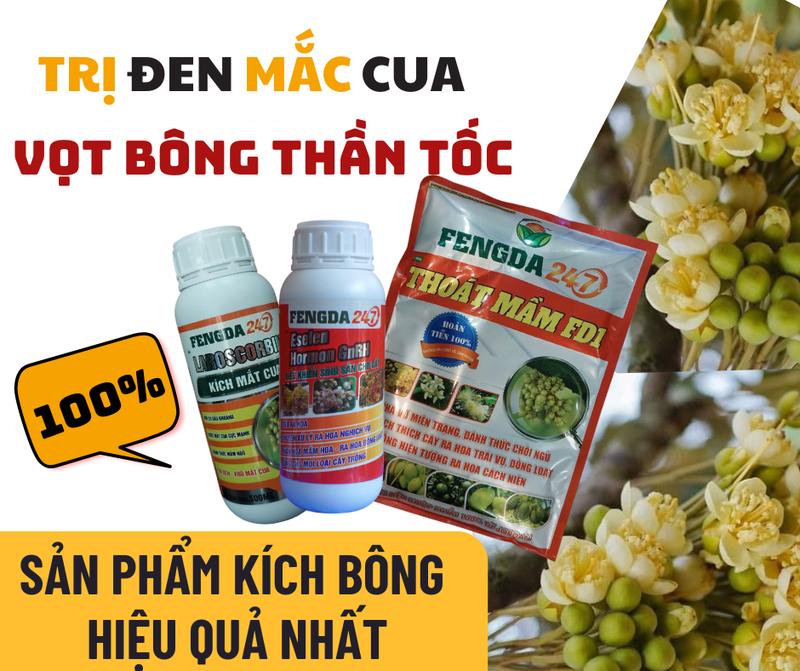 Combo 3  Phân bón BỘ 3 RA HOA FENGDA 247 -  XỬ LÝ MẮT CUA ĐEN - KÉO VỌT MẮT CUA - MĂT CUA NGỦ