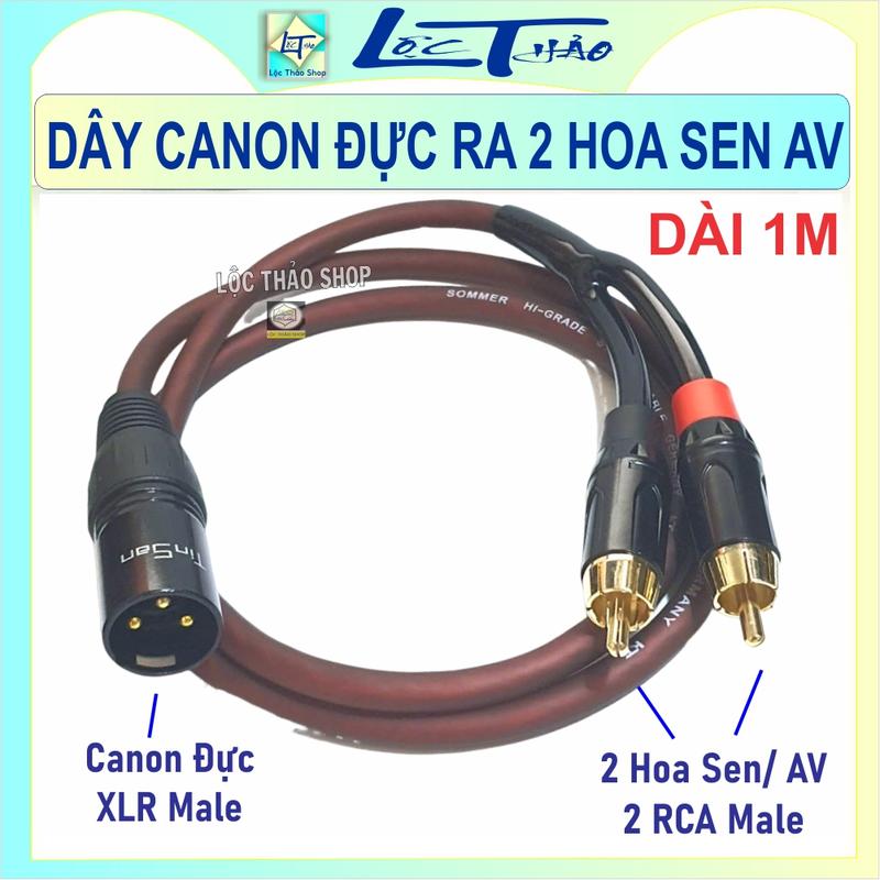 Dây Canon Đực ra 2 Hoa sen AV dài 1M - Dây Canon XLR đực ra 2 đầu AV Bông sen - Dây Canon Đực ra 2 AV - 3 Pin XLR Male to 2 RCA Audio Cable