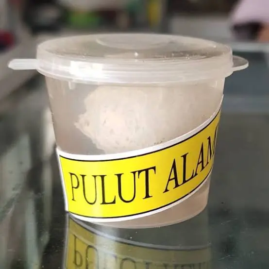 PULUT  BURUNG PULUT ALAMI