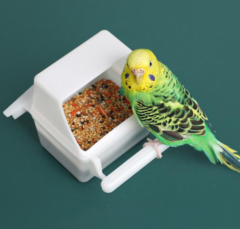  Máng ăn chống vẩy cho chim vẹt lovebird yến phụng và các dòng chìm khác 