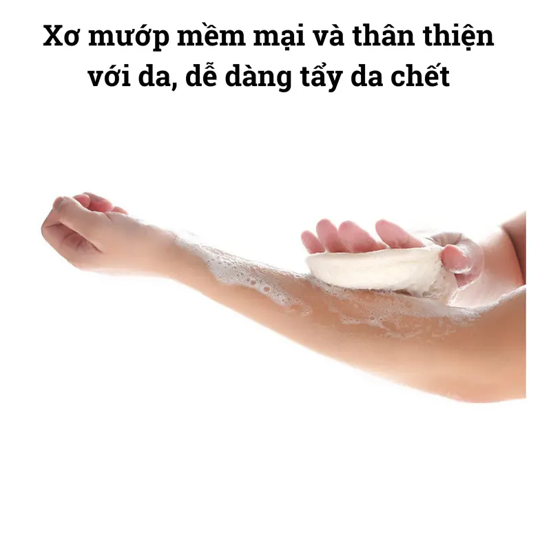 Bông xơ mướp tự nhiên BAMBOOO ECO lành tính  dùng tẩy da chết, massage 6