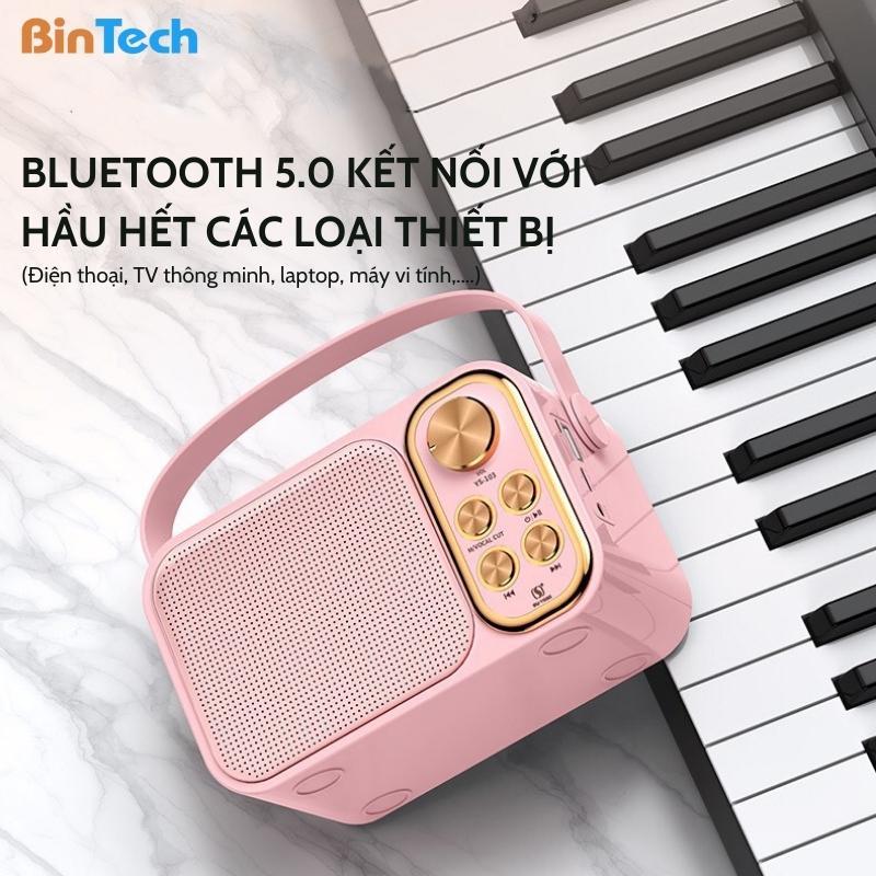 Loa karaoke mini 2 mic bluetooth BINTECH YS 105 Không dây, kèm 02 micro hát karaoke, công suất 25W - Bảo hành 12 Tháng 6