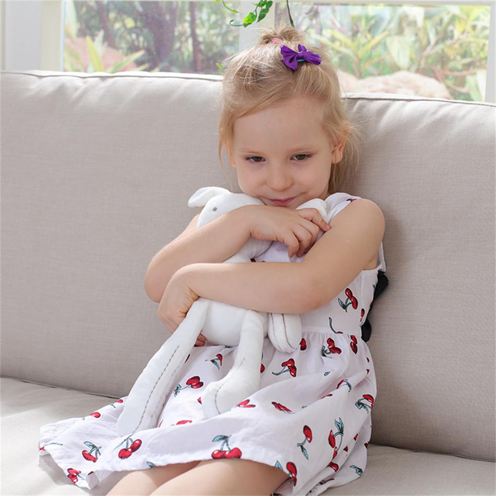 Rabbit Bunny / Boneka Kelinci Beruang Rabbit Plush Toys Mainan bayi Hampers Home Decor Art Dolls