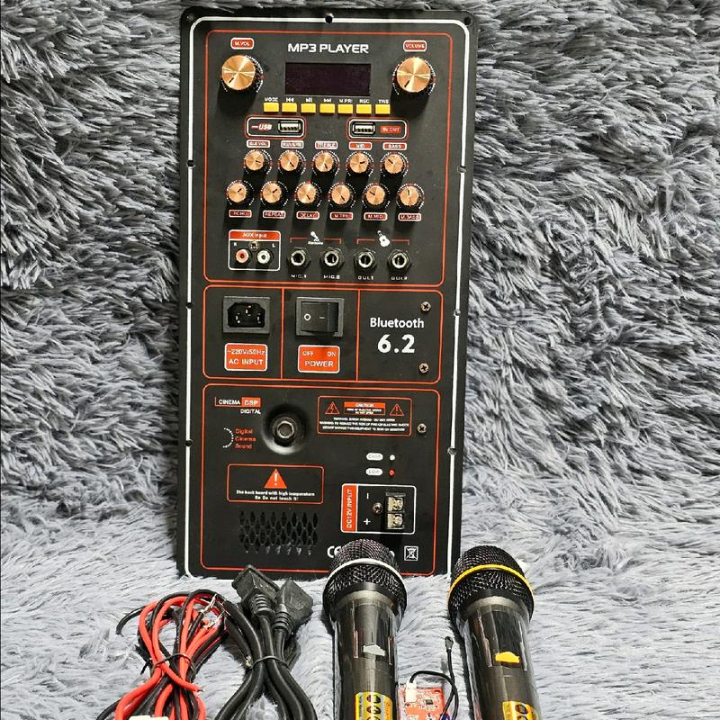 Bo mạch loa kéo công suất lớn mẫu đứng T22 Phụ Kiện