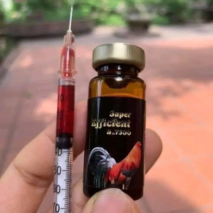 THUỐC NUÔI CHO GÀ B12 7500