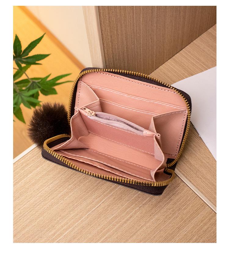 Product Introduction of Ví In Hình, Thời Trang, Túi Mới 2024, Dành Cho Nữ, Dễ Phối Đồ, Cỡ Nhỏ 9