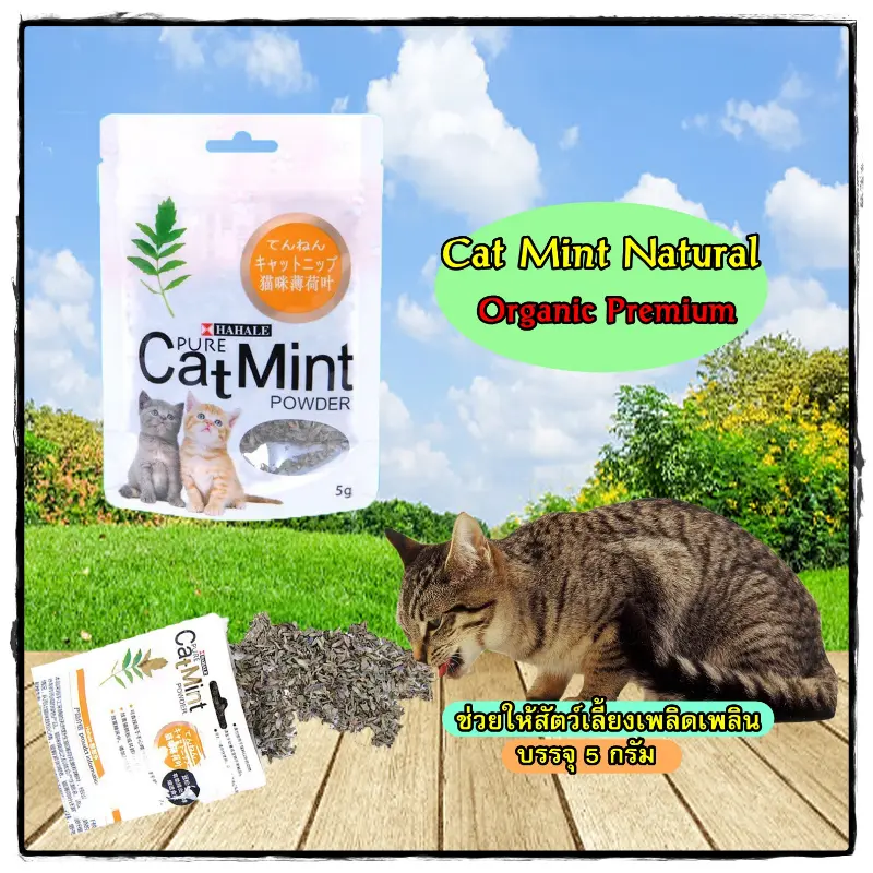 Businessshop49 แบบพกพา Boqi Factory ผงแคทนิป กัญชาแมว Cat Mint XJ99
