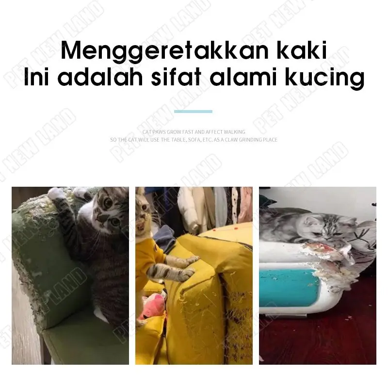 Gudang besar Papan Garuk Kucing Anjing Anabul Multifungsi Tempat Tidur Anabul 3