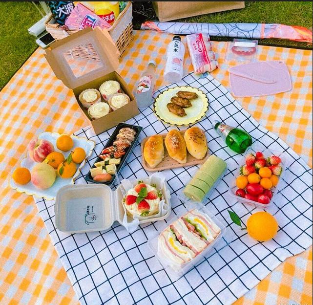 Thảm picnic chống nước khăn trải bàn thảm Caro PVC du lịch dã ngoại gấp gọn chống thấm decor chụp ảnh đẹp nhiều size