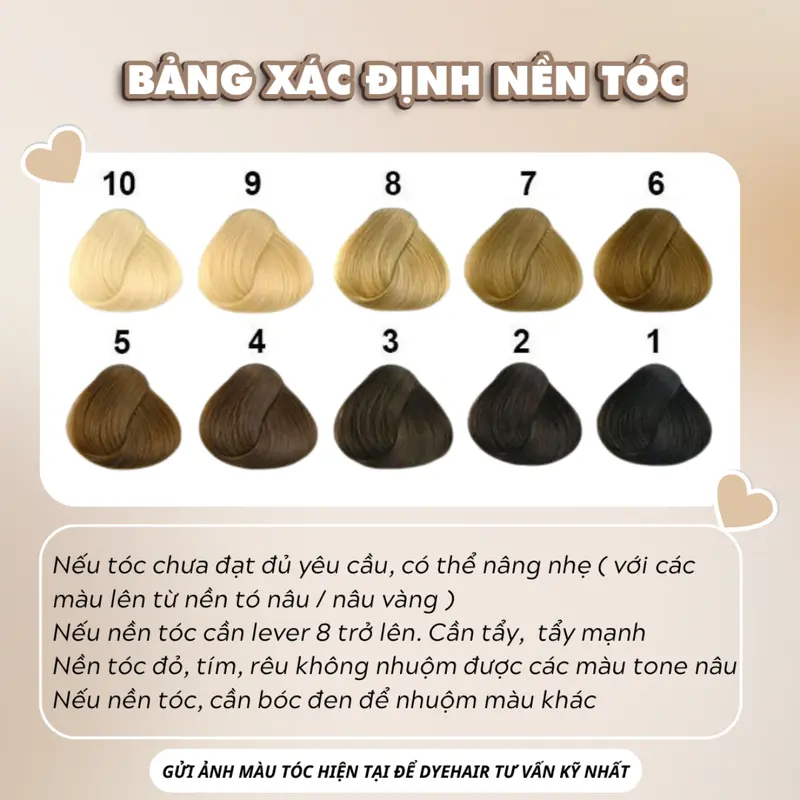 Thuốc nhuộm tóc Đỏ Cherry, không cần tẩy tóc, Dyehair, tặng kèm oxy trợ dưỡng và bao tay Đổi Màu Tóc Nữ Dưỡng Tóc 7
