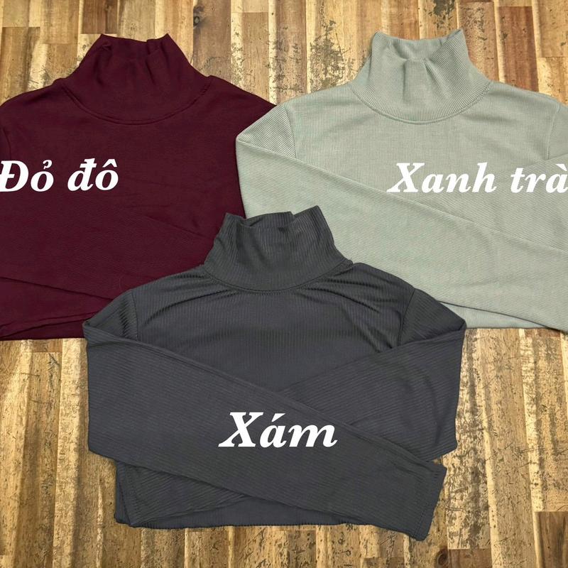 combo 3 Áo cổ lọ cao tay dài ủ kem Voi Women Nhung cho phụ nữ - Combo 3 sản phẩm - Top
