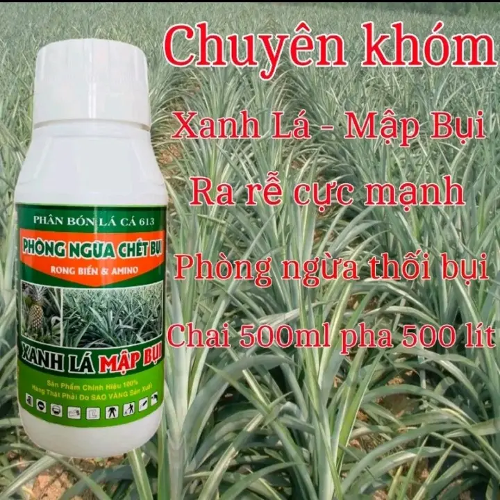 Phân bón lá chuyên khóm xanh lá mập bụi chai 500ml