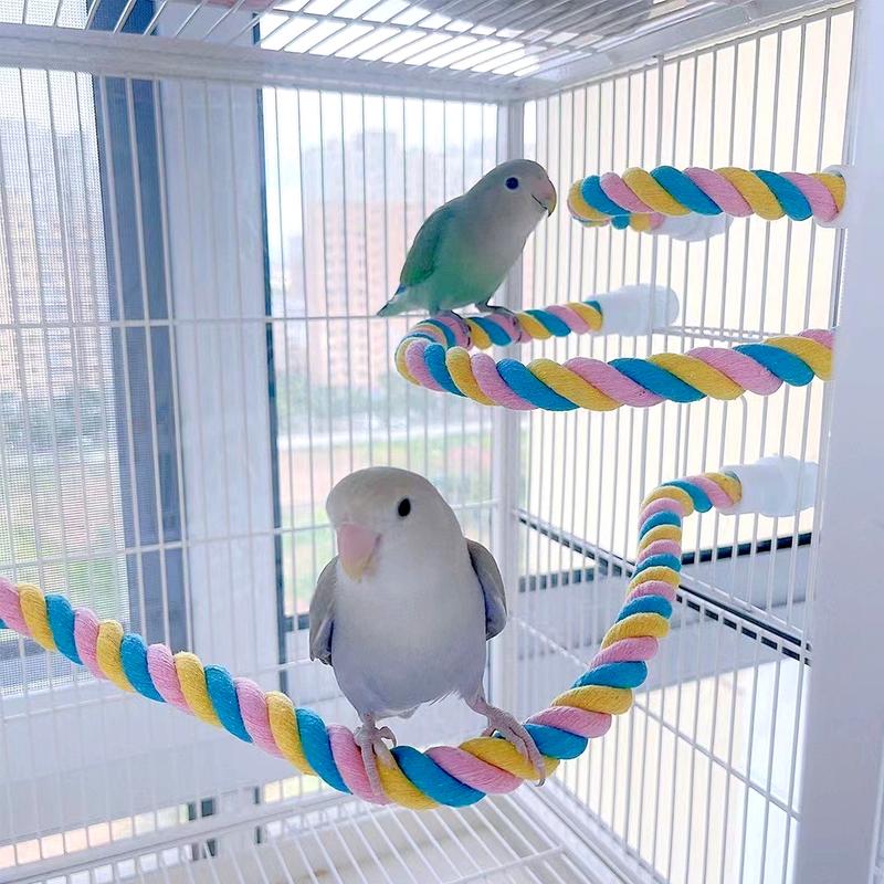 Product Introduction of Parrot Bird Standing Toys Cotton Rope Colorful Toy Chew Perches for Bird Cage Standing Woven Rope Bird Accessories Parrot Toys #464691 34