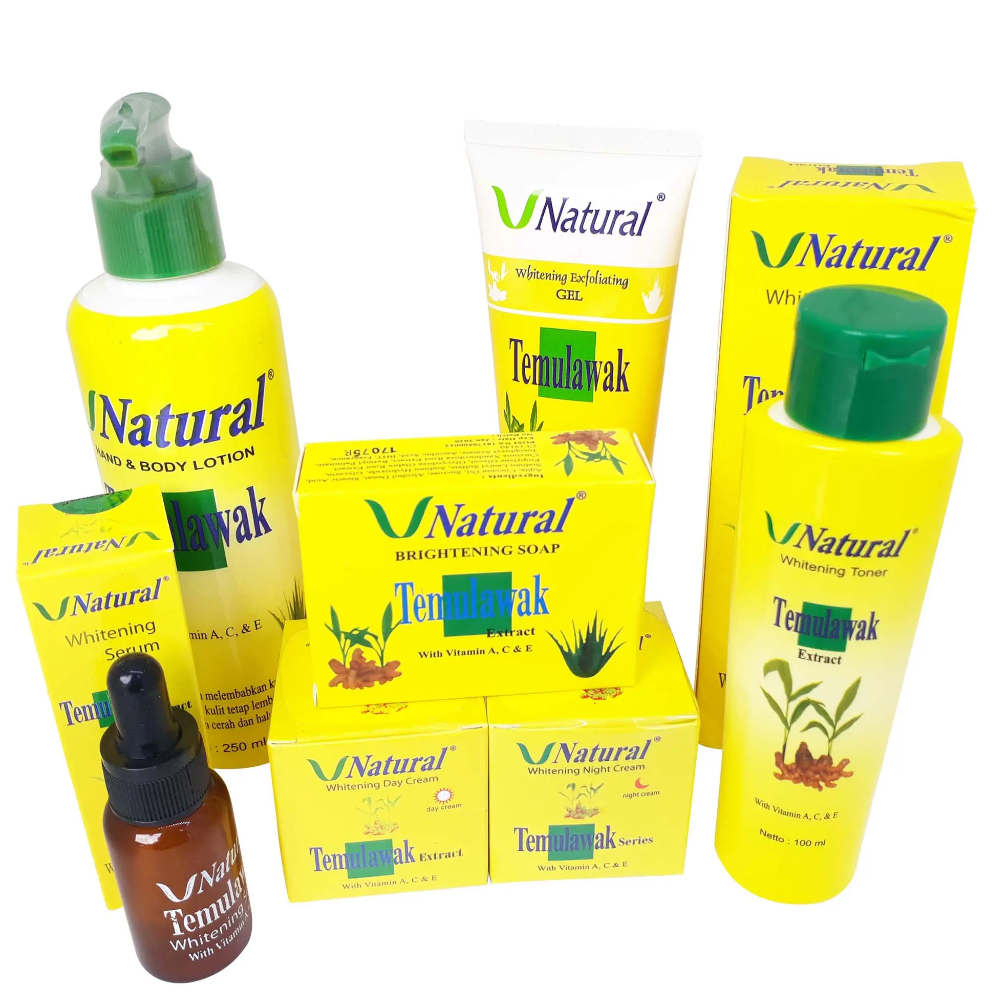V NATURAL TEMULAWAK DAY & NIGHT CREAM, FACIAL FOAM, TONER, SERUM DAN LOTION