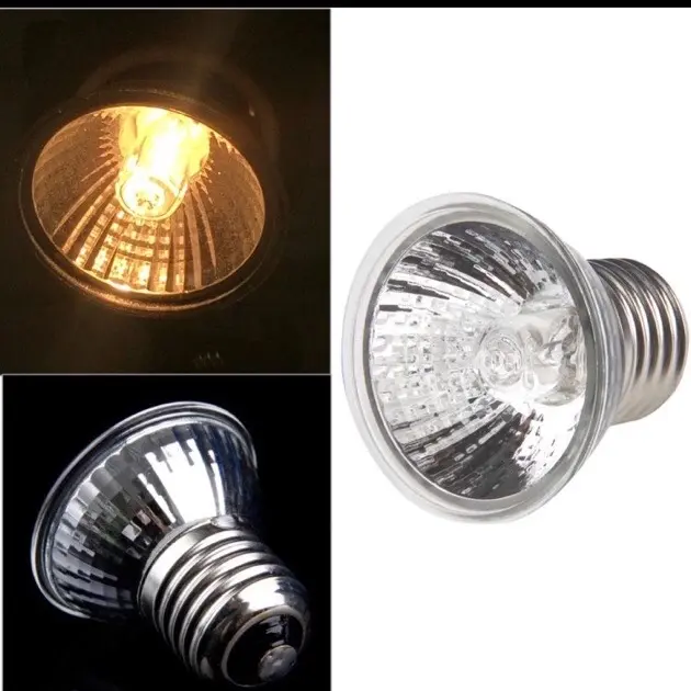 Lampu Reptile UVB dan UVA 1