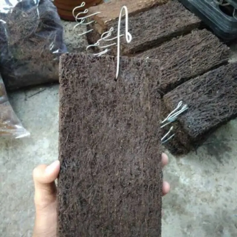 Papan pakis media tanam anggrek ukuran 15x8