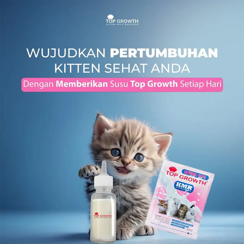 SC Top Growth Susu 1 Box isi 12 Bayi Anak Kucing 0 2 Bulan Kitten Pengganti ASI Penggemuk Baru Lahir 5