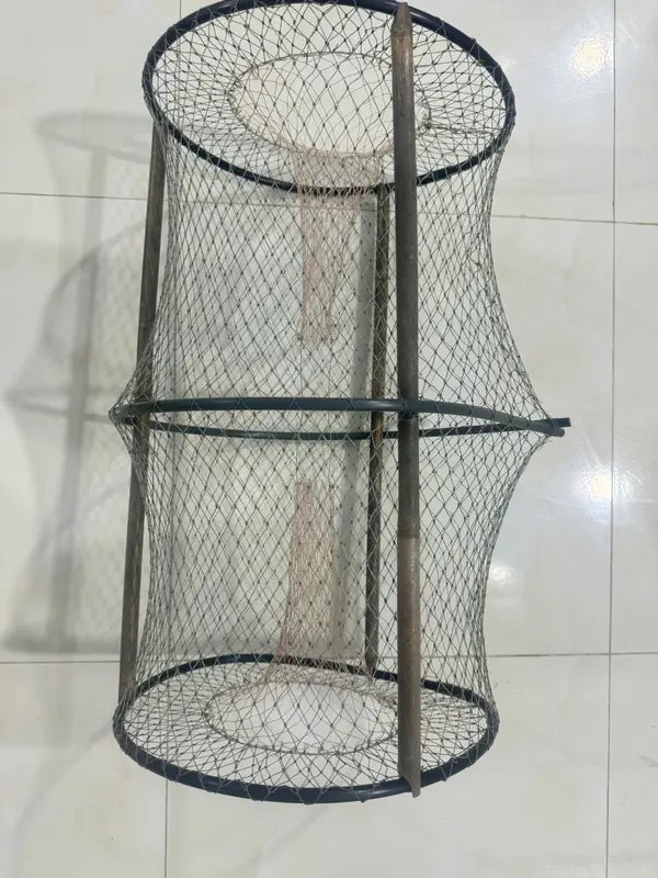 COMBO 20c LỜ CÁ LƯỚI THÁI 30X52 HOM SẮN- KHÔNG KÈM CÂY 1