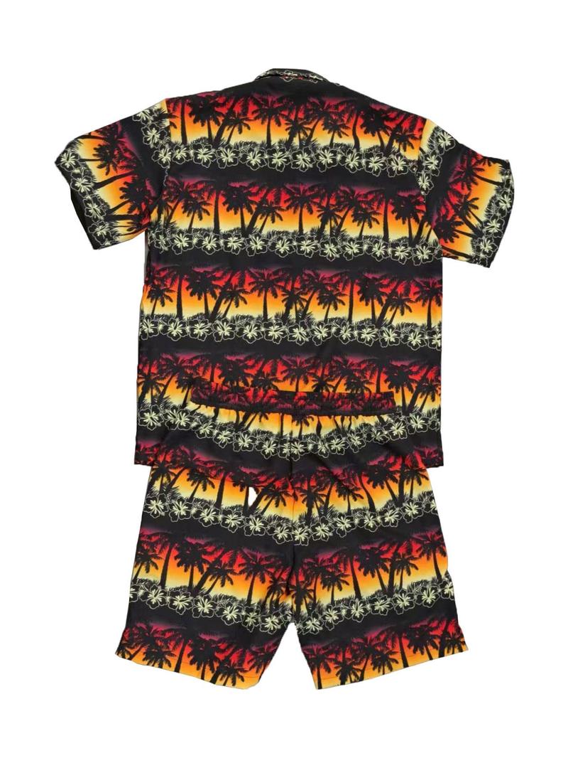 Product Introduction of Men's Colorblock Print Short Sleeve Tee & Shorts Two-Piece Set, Regular Fit Casual Round Neck T-shirt & Shorts, Men's Summer Clothes for Outdoor Wear 2