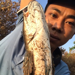 Nguyễn Thủ Fishing