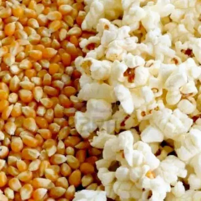 Jagung popcorn pop corn Jagung mentah 500gr
