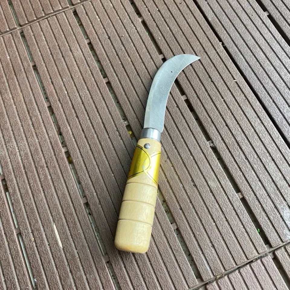 Dao cắt bẹ măng siêu nhanh