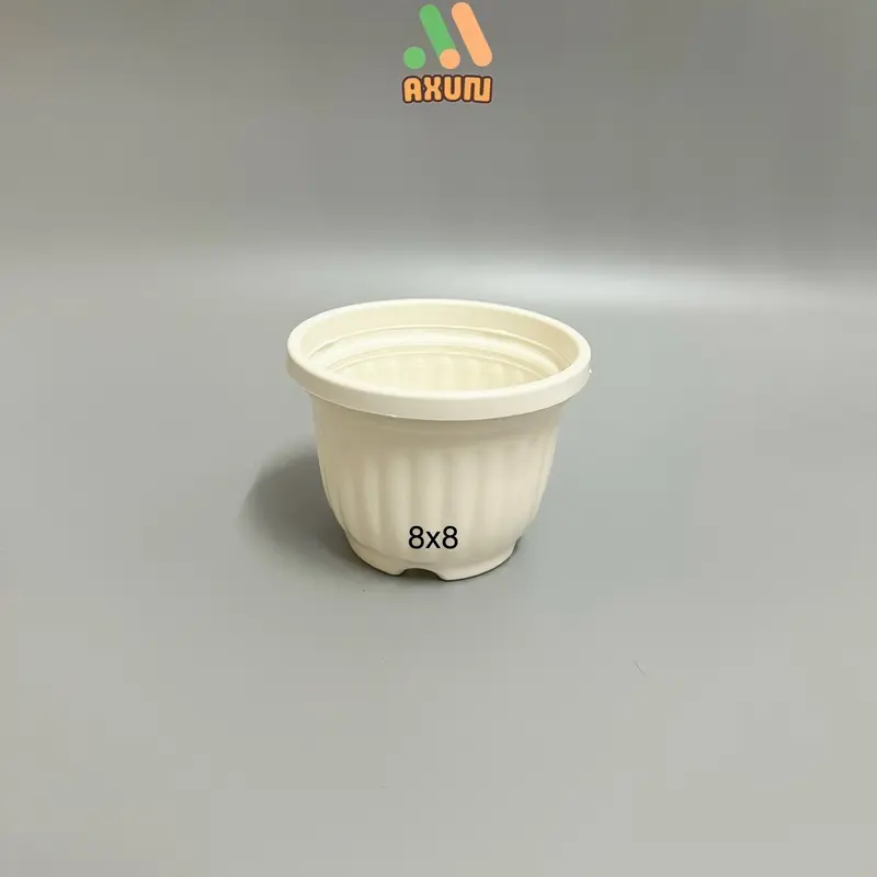 Chậu nhựa cứng tròn trắng mini trồng sen đá và xương rồng 8