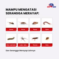 Gambar HOME GUARD KILLER 100ml Cairan Anti Serangga, Anti Kecoa, Anti Semut, Anti Rayap, Anti Tomcat, Anti Kutu, dan serangga merayap lainnya dari Home Guard Indonesia_NEW Kota Surakarta 4 Tokopedia