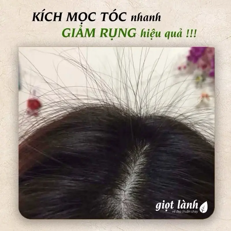 Dầu Gội Xả Bồ Kết Bưởi Cam -Thảo Dược Thiên Nhiên Giúp Tóc Chắc Khỏe Phục Hồi Hư Tổn giảm gãy rụng 4