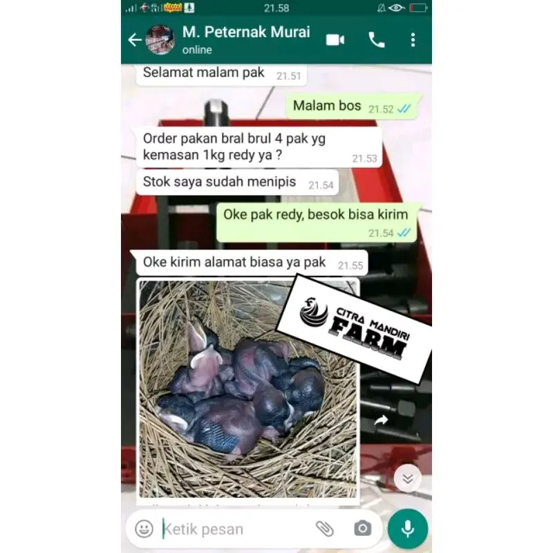 Pakan BRAL BRUL Khusus Jangkrik Ulat & Kroto Untuk Indukan Burung Murai Kacer Goci Cucak Anis - 1.000 Gram 4