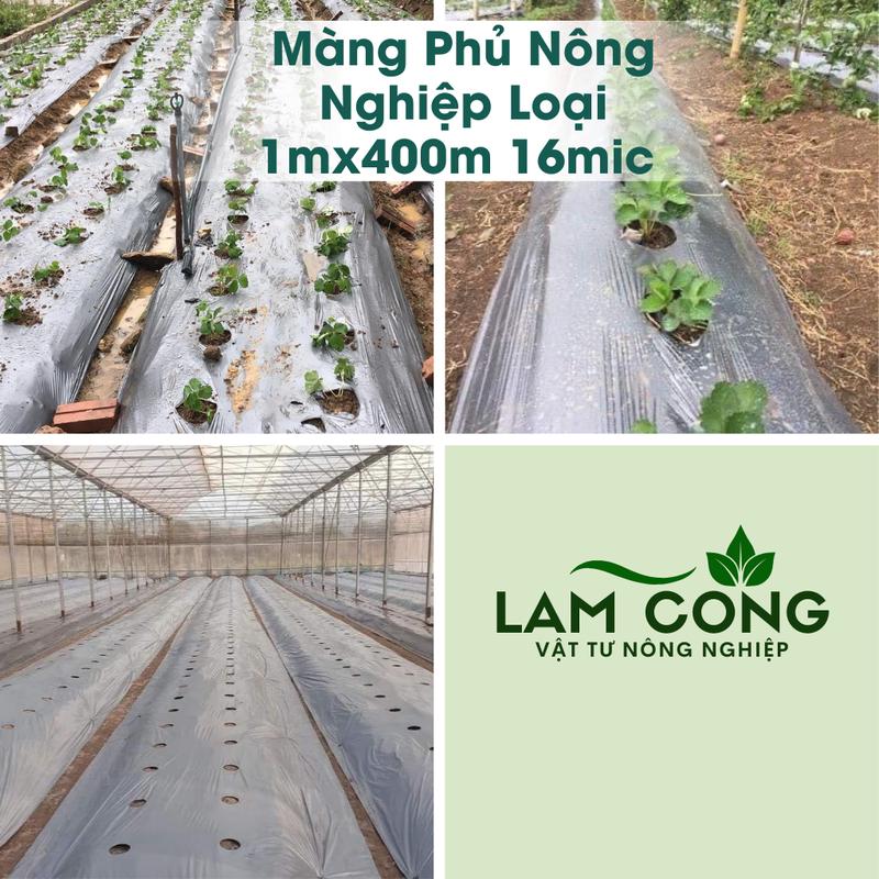 Màng Phủ Nông Nghiệp Loại 1mx400m 16mic Chưa Đục Lỗ Sẵn