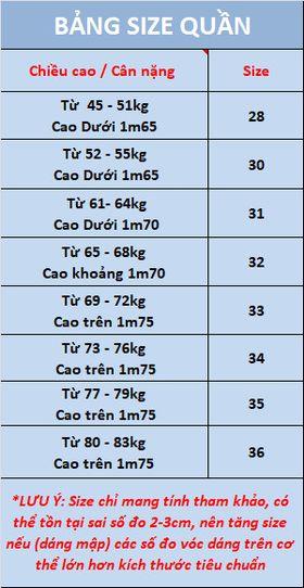 Product Introduction of Quần Jean Nam Cao Cấp 79-10 , Wash Thời Trang Rách cho Phái Mạnh - Pants Menswear 0
