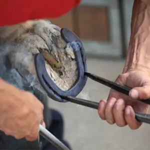 Tapal kuda Sepatu kuda Tunggang Lebar 10cm Tapel Jaran Ladam