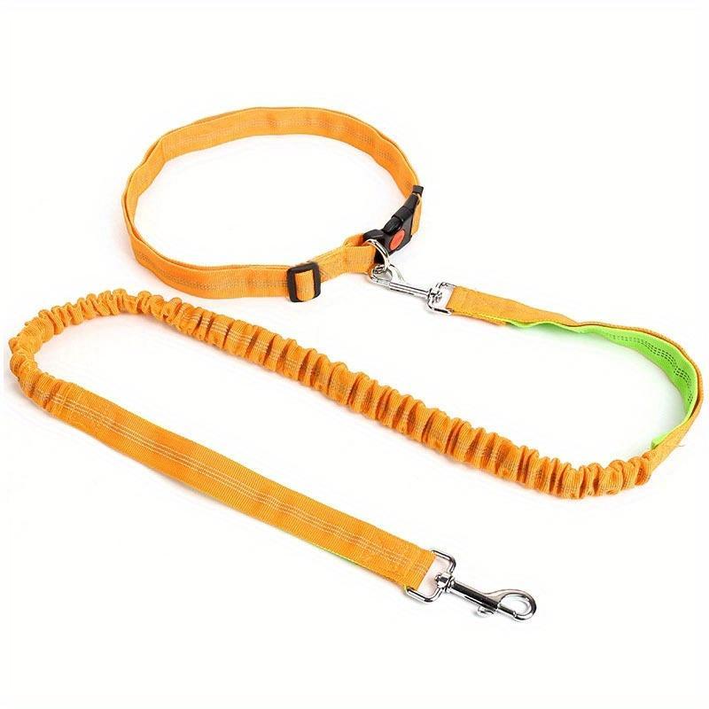 Elastic Nylon Adjustable Dog Leash, Durable Dog Leash, Pet Walking Leash, Dogs Walking Rope, Pets Training Leash, Outdoor Walking Leash for Small Medium Large Dogs 6