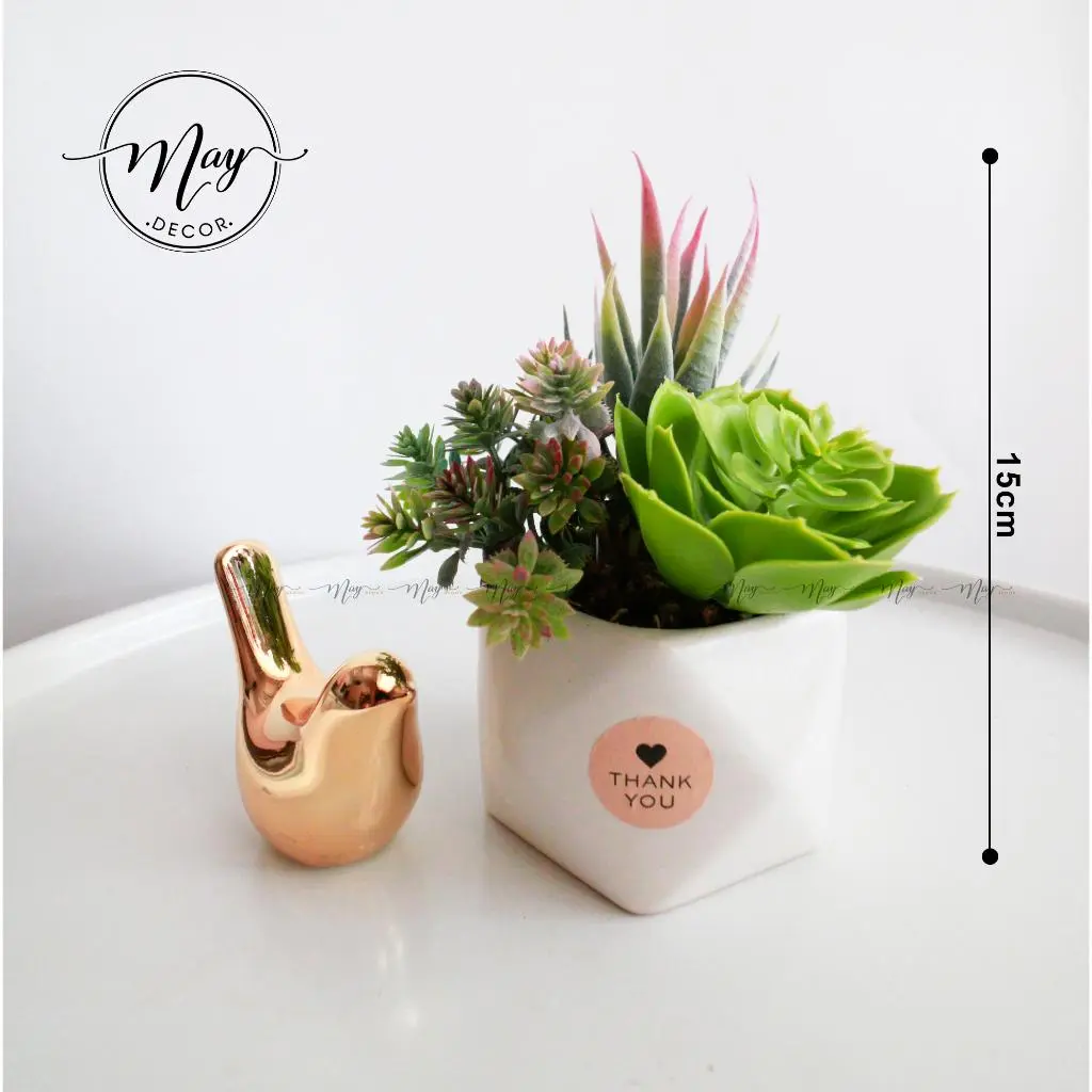 Cây giả, Chậu sen đá giả xinh xắn Decor Phòng