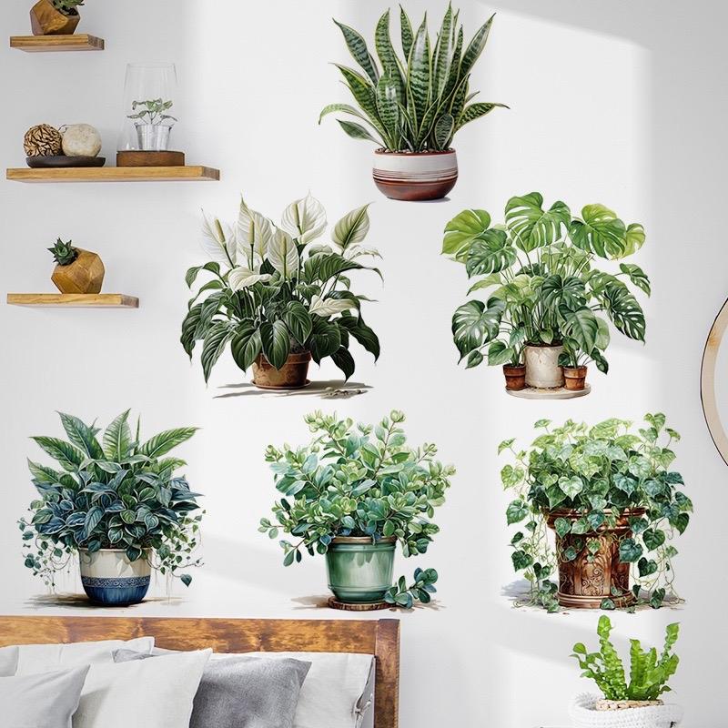  Decal dán tường mẫu 6 chậu cây rời   kt mỗi chậu 26*26cm  