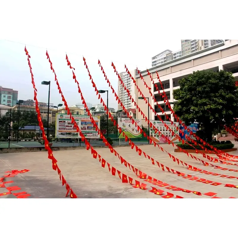 Cờ dây trang trí cuộn cờ dây 10m 3