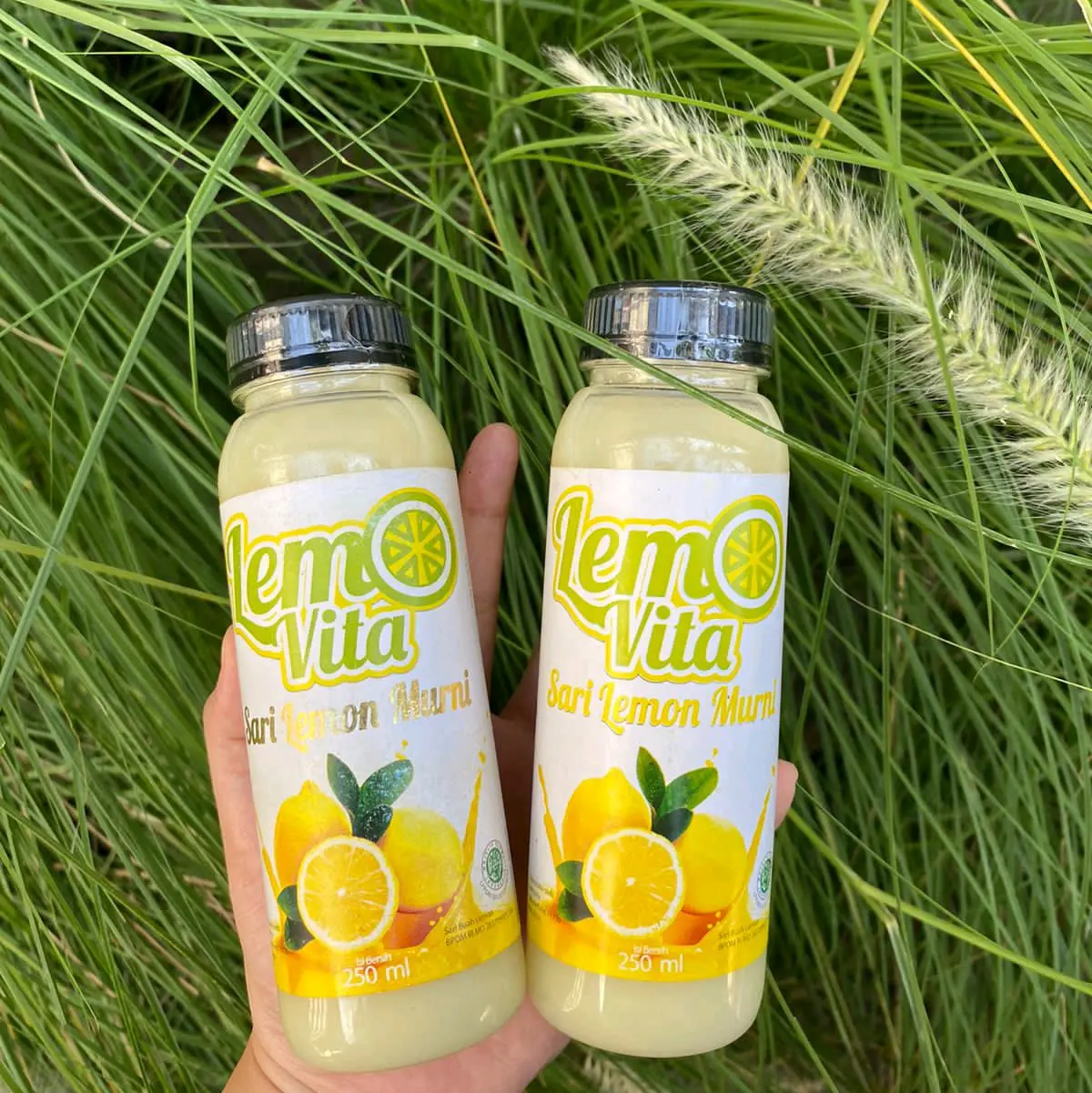 2 Botol Lemovita 250 ml Lemon - Shop | Tokopedia