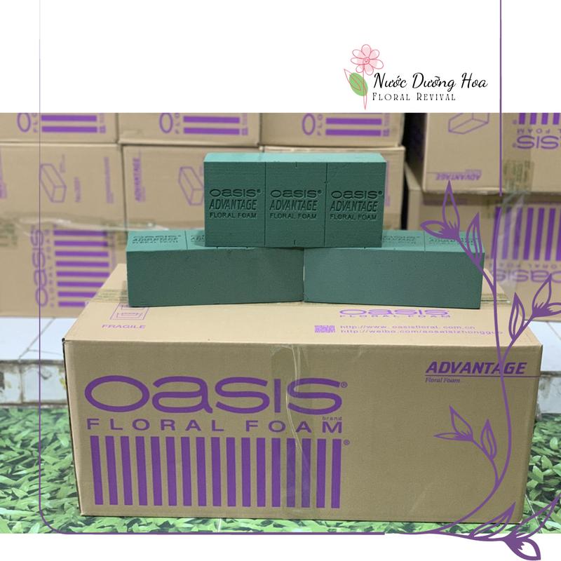   Thùng 20 viên  Xốp cắm hoa OASIS TÍM chuyên dụng cắm hoa tươi giá siêu rẻ 