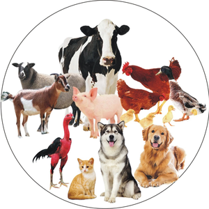 Phòng trị bệnh vật nuôi