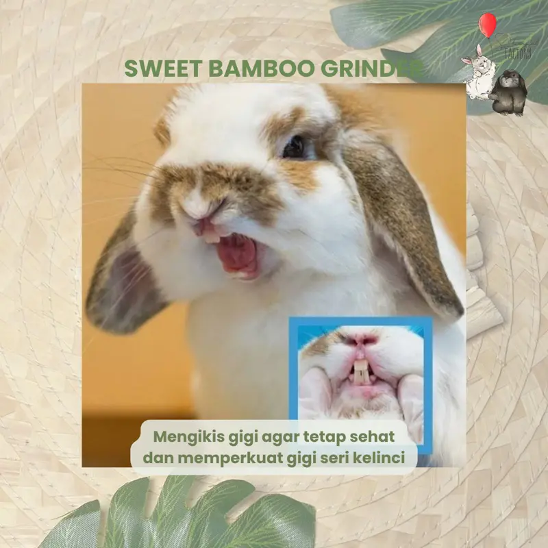 Natural Sweet Bamboo Grinder Chew Stick - Pengasah Gigi Kelinci Hamster Marmut Chincilla 2