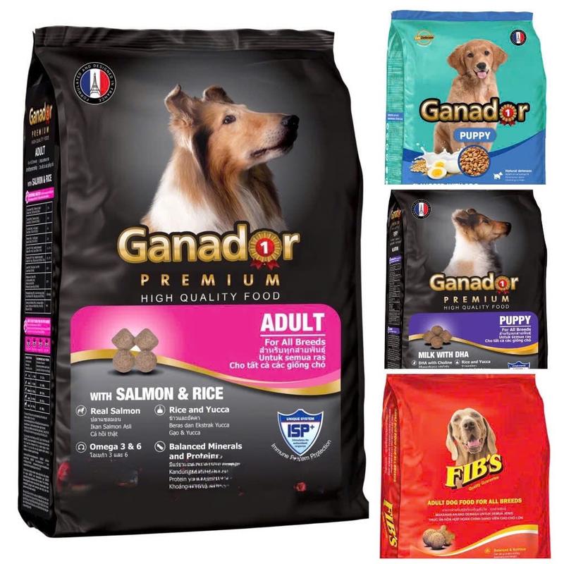Thức Ăn Hạt Cho Chó Ganador, FIB's Nhiều Vị - 400g Hỏa Tốc