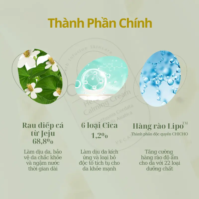 Kem dưỡng dịu da thảo mộc thuần chay CHICHO Calming Cream Làm 70ml Đẹp Da - Skincare Nữ 7