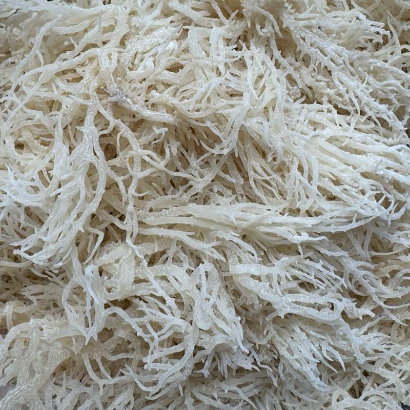 Rong sụn biển trắng dùng làm nước mát với hạt ươi , trộn gỏi , sea moss gel, nấu chè 2