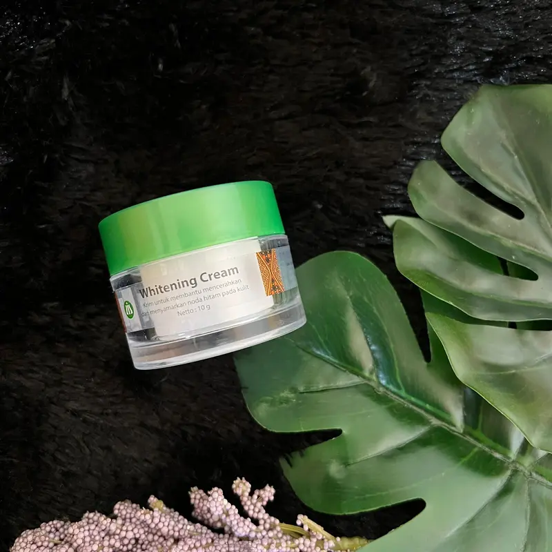Liz Skincare krim pemutih / whitening crem dr liz pria wanita krim siang - malam Semua Jenis Kulit 4