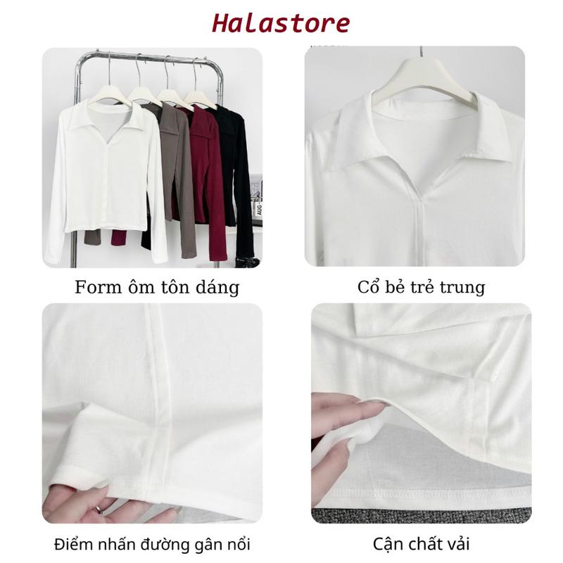 Áo Thun Nữ Dài Tay Cổ Bẻ Xẻ Ngực Chất Cotton Form Ôm Bigsize355T - Top, Women 3