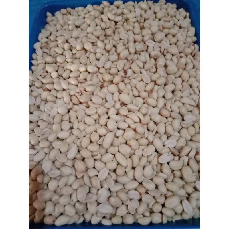 kacang bawang mentah 500 g siap Goreng 4