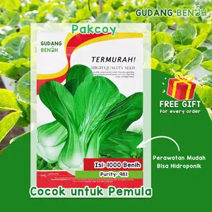 [PROMO] Bibit Tanaman Sayuran Pakcoy Kualitas Unggul Mudah Ditanam Isi 1000 Benih