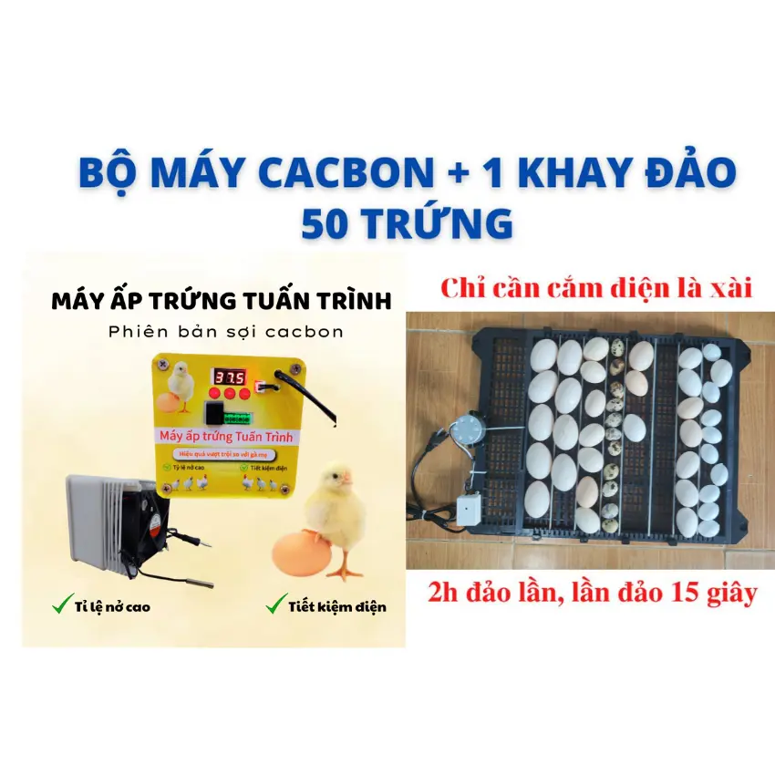 Máy ấp trứng cacbon kèm khay đảo, 50 - 100 trứng cho gà vịt ngan ngỗng - máy ấp trứng Tuấn Trình